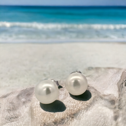 Shell Pearl Earrings Studs for Women - LAX Jewelry