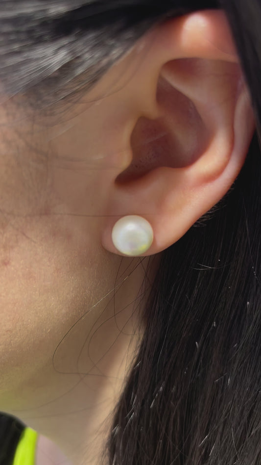 Shell Pearl Earrings Studs for Women